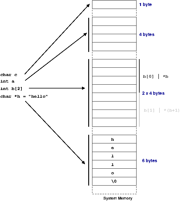 The processor sees memory only a row of bytes. Adding types to variables helps the compiler ensure that code is acting correctly. Above illustrates some common types, and how they map to memory.