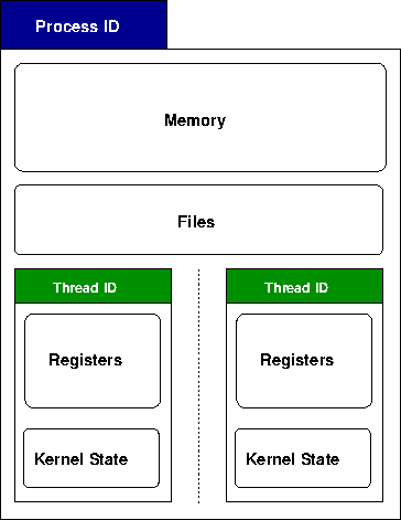 The memory (including program code and variables) of the process are shared by the threads, but each has its own kernel state, so they can be running different parts of the code at the same time.